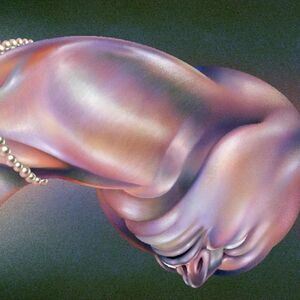Walt Disco - The Warping  LP LP